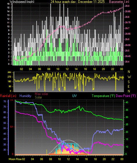 24 Hour Graph for Day 11